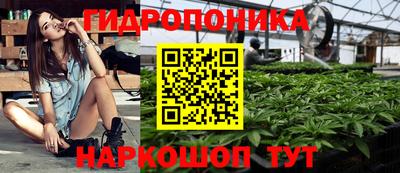 твердый Гусев