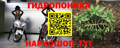 твердый Гусев