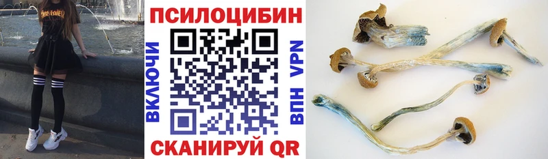 blacksprut как зайти  наркошоп  Каспийск  Псилоцибиновые грибы GOLDEN TEACHER 