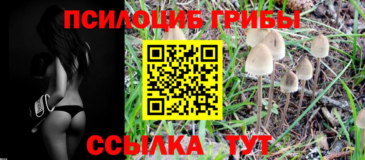 Псилоцибиновые грибы мухоморы Каспийск