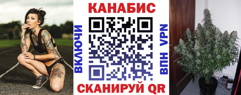 mega   Каспийск  Канабис планчик  как найти закладки 